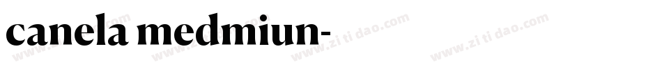 canela medmiun字体转换